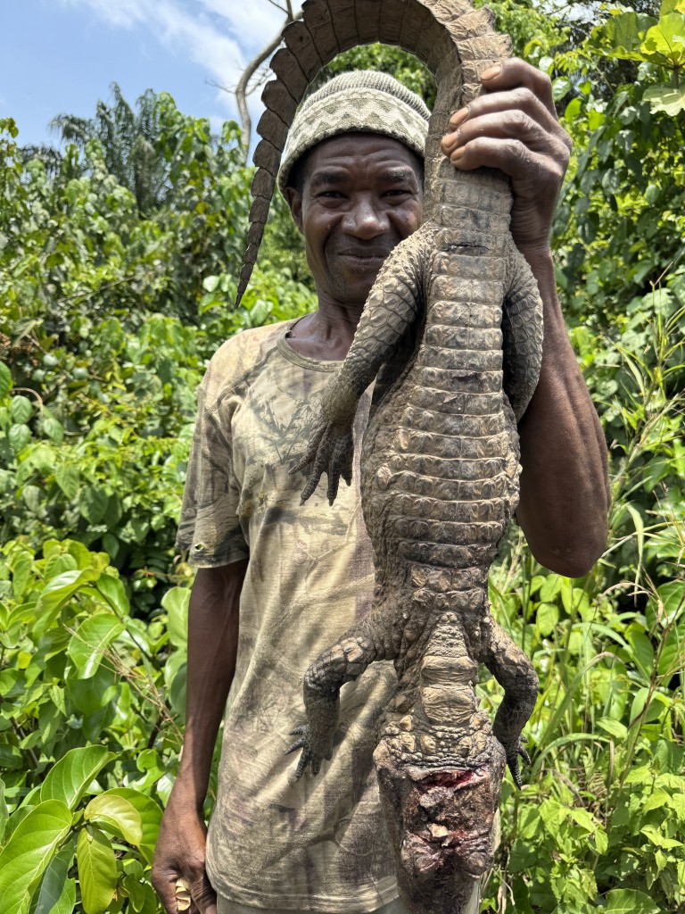 Melnādains vīrietis tur krokodilu